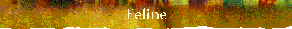 Feline