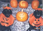 Halloween.jpg (62415 bytes)