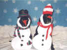 Snowman.jpg (40233 bytes)