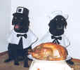Thanksgiving.jpg (26636 bytes)