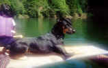 penny-canoe.JPG (200865 bytes)